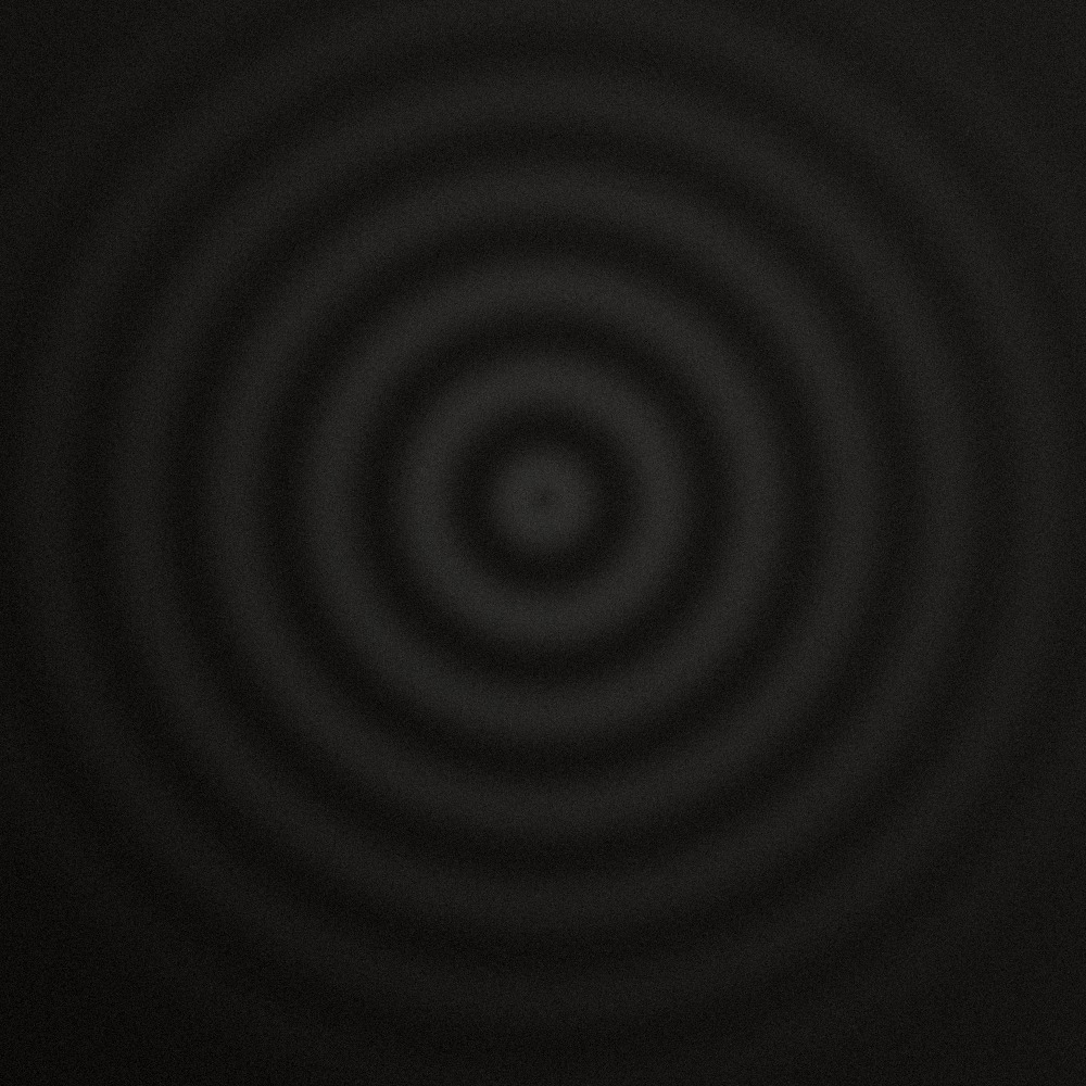 Static Bloom — KMP-002